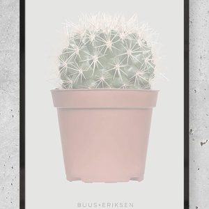 Cactus plant - Buus + eriksen
