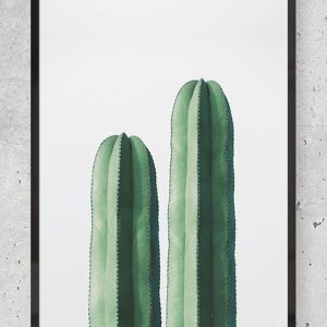 Øjeblik - Kaktus plakat